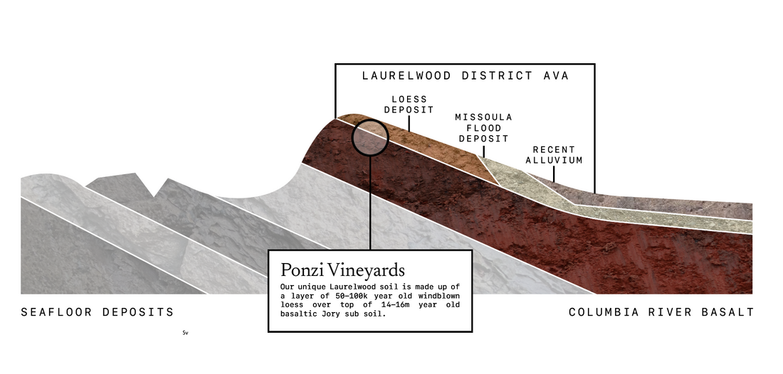 The Laurelwood Soils