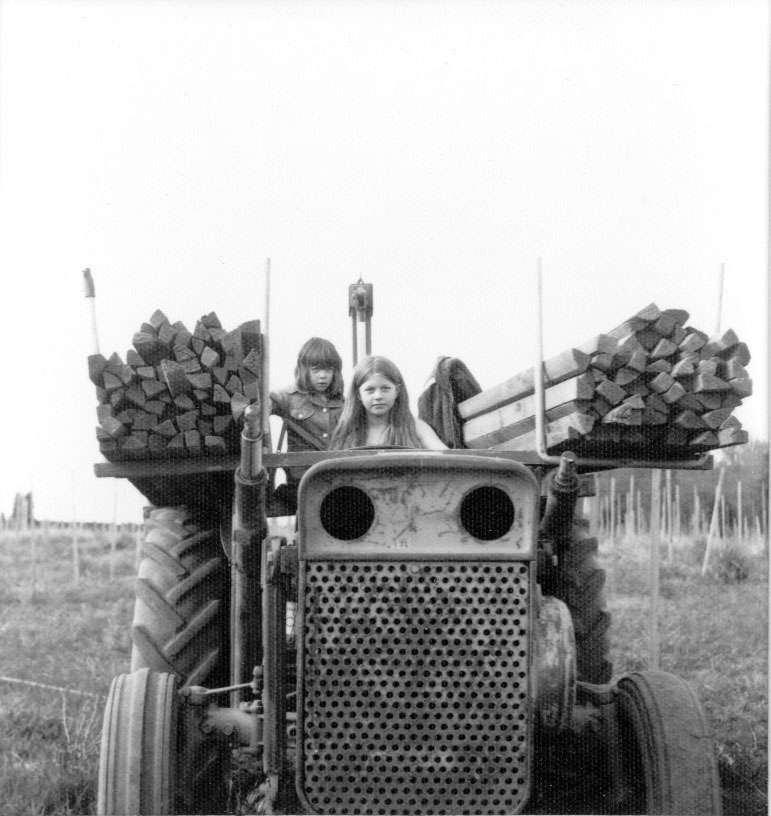 Vintage black and white photo of a tractor with logs on a field