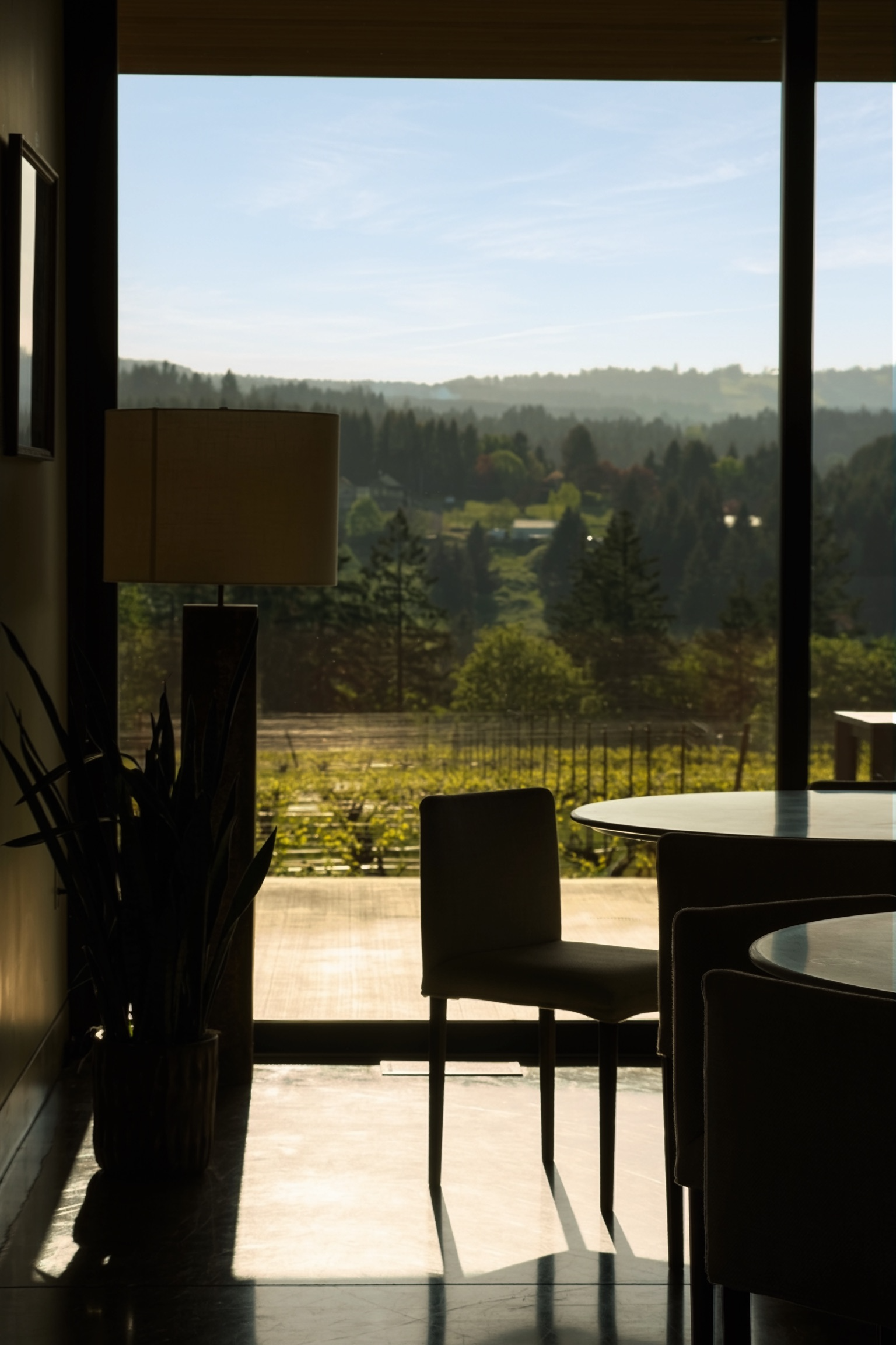 Dining area with a view of a vineyard through large windows.